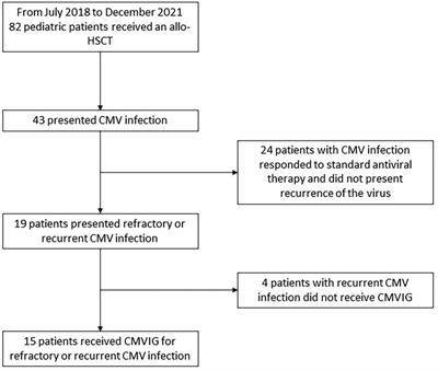 CMV hyperimmune globulin as salvage therapy for recurrent or refractory CMV infection in children undergoing hematopoietic stem cell transplantation